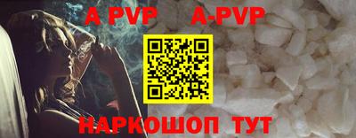 хмурый Кингисепп