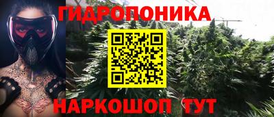 хмурый Кингисепп