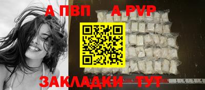 хмурый Кингисепп