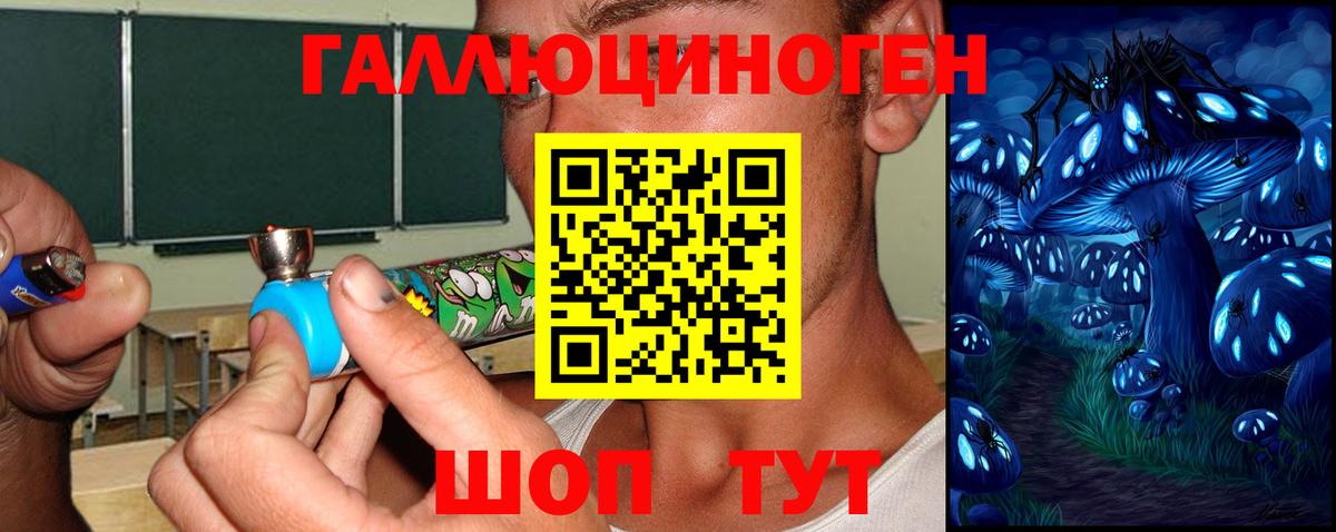 Псилоцибиновые грибы Psilocybine cubensis  Вход с VPN  Бугуруслан 
