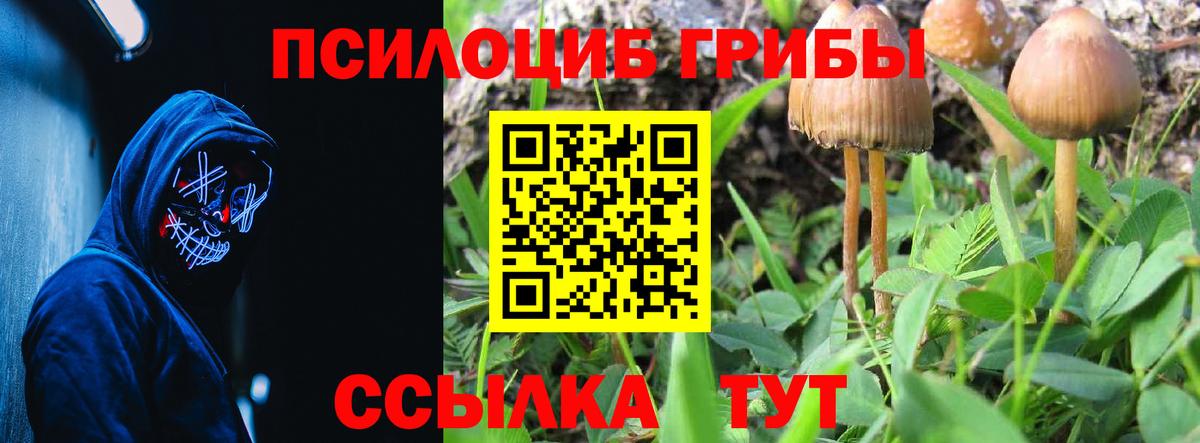 Галлюциногенные грибы ЛСД Бугуруслан